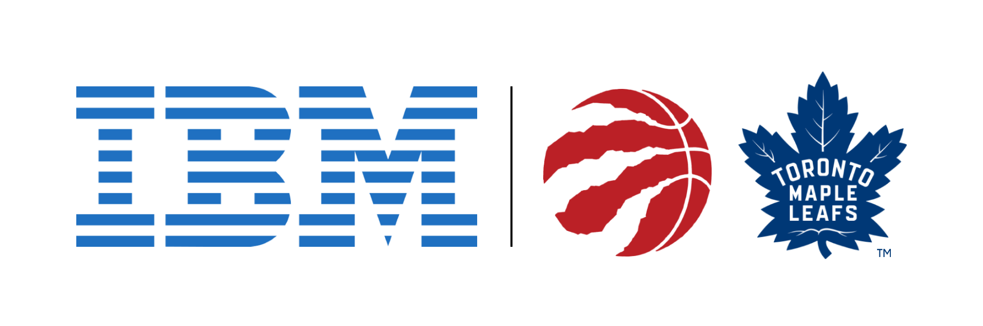 IBM logo
